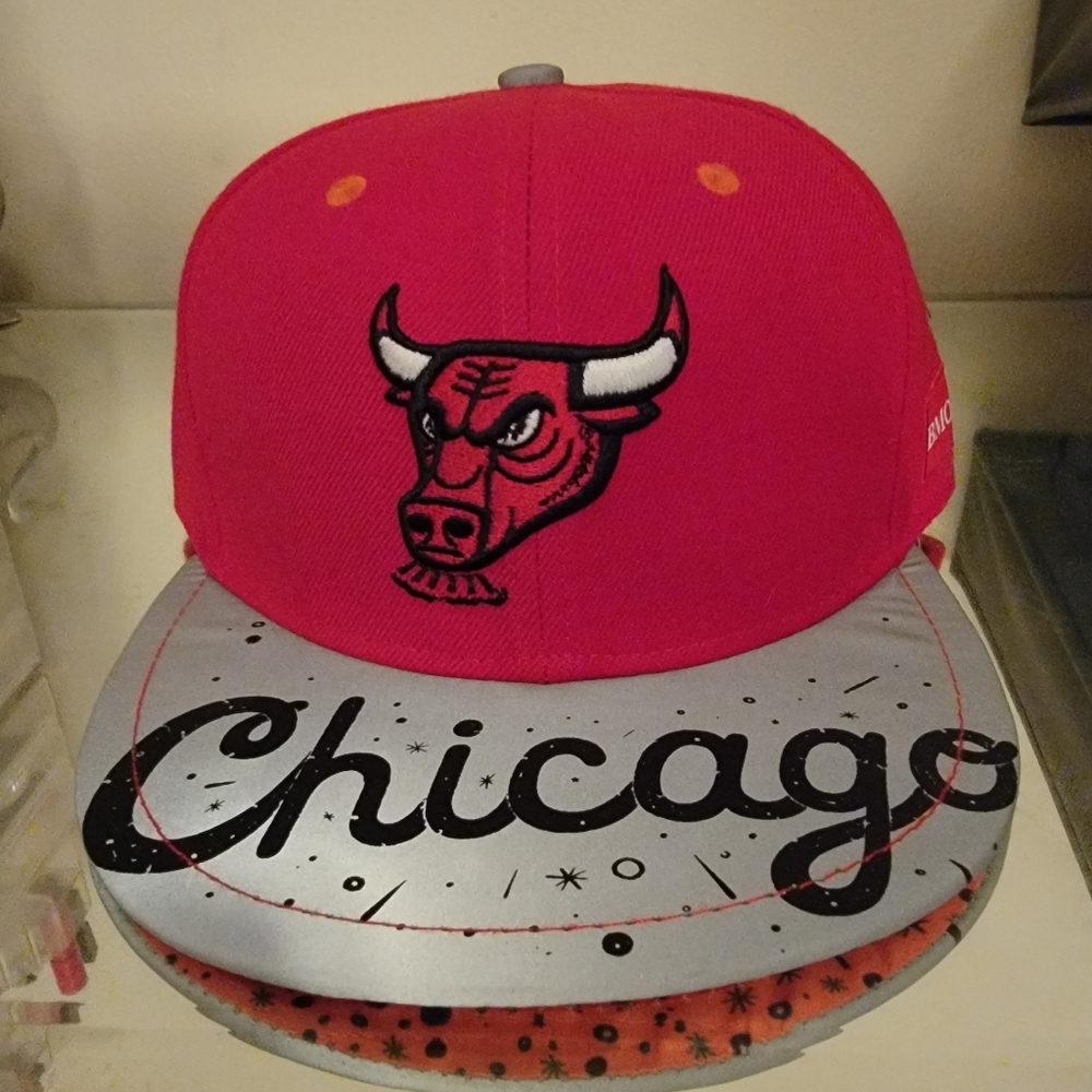 Bulls Artist Series 2018/2019